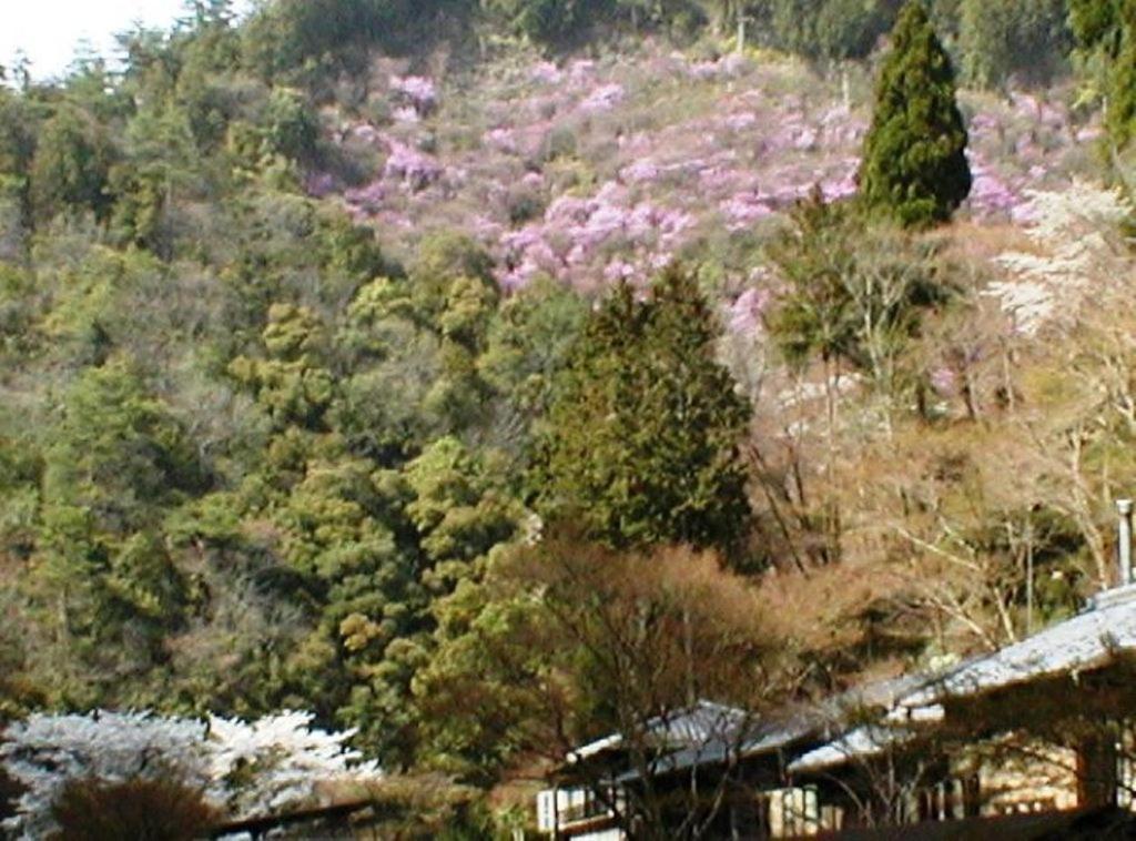 Takao Kanko Hotel Киото Экстерьер фото